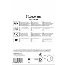 Emballage de produit pour 5 bulbes de Leucojum aestivum avec instructions de plantation et informations sur le recyclage.