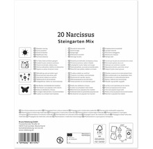 Dos d'un emballage de 20 narcisses mélange pour jardin de rocaille avec des pictogrammes sur l'emplacement, l'usage, la croissance et les insectes.