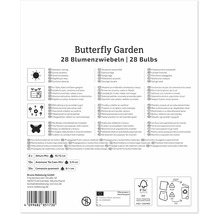 Dos de l emballage pour bulbes de fleurs Butterfly Garden avec informations de plantation contenu et informations sur le fabricant