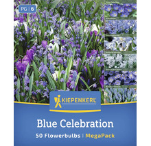 Kiepenkerl Blumenmischung Blue Celebration mit 50 Blumenzwiebeln für eine Auswahl an früh blühenden Frühlingsblumen in blauen Farbtönen.