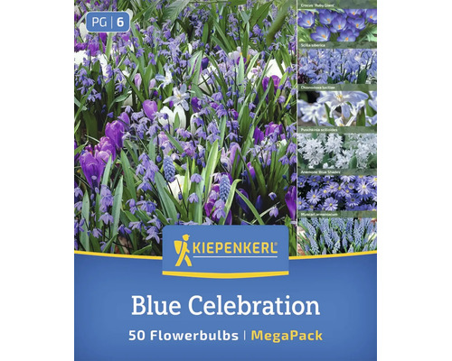 Kiepenkerl Blumenmischung Blue Celebration mit 50 Blumenzwiebeln für eine Auswahl an früh blühenden Frühlingsblumen in blauen Farbtönen.