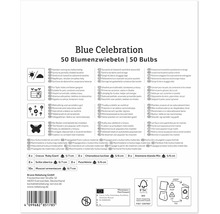 Rückseite einer Produktverpackung für Blue Celebration Blumenzwiebeln mit Pflanzinformationen und Inhalt der Mischung.