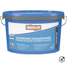 Peinture de façade en résine de silicone Modulan 4201 en seau, 5 litres pour travaux de façade. (Image AI modified or generated)