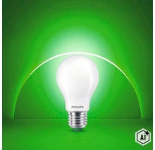 Philips LED Lampe in Birnenform mit E27 Sockel und mattem Glaskolben (Image AI modified or generated)