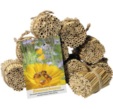 Hôtel à insectes en tiges de roseau avec graines Bienenschmaus de Dobar Wildlife comme nichoir et source de nourriture pour abeilles et insectes.