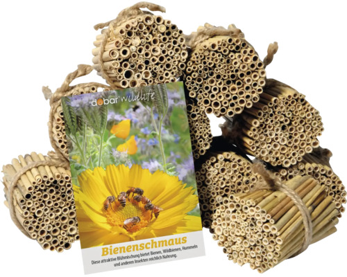 Hôtel à insectes en tiges de roseau avec graines Bienenschmaus de Dobar Wildlife comme nichoir et source de nourriture pour abeilles et insectes.