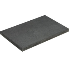 Dalle de terrasse rectangulaire en béton avec surface structurée pour aménagement de jardin.