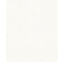 Papier peint structuré avec un aspect crépi mat pour une décoration murale intérieure de haute qualité.