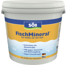 Seau de produit de soin pour étang Söll FischMineral pour renforcer les défenses immunitaires et traiter les intoxications, jusqu'à 50.000 litres.