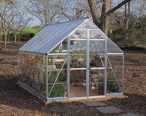 Gewächshaus mit Regalen und Pflanzen im Garten