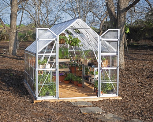 Serre Palram – Canopia Balance 8x12 avec cadre de fondation 367 x 244 cm argent Serre avec portes ouvertes et plantes à l''intérieur