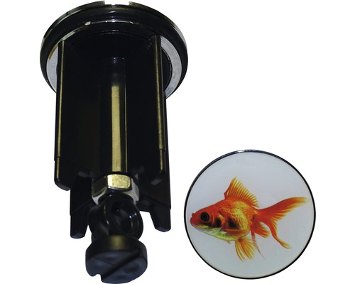 Excenterstopfen Goldfisch 39,8 mm-0