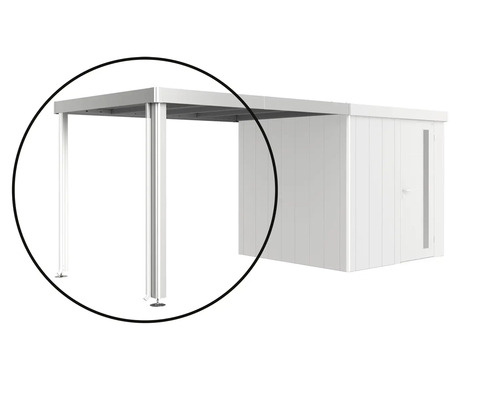 Abri de jardin avec carport attenant