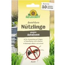Neudorff Ameisen Nützlinge Bestellkarte zur biologischen Ameisenbekämpfung auf Wegen, Rasenflächen und in Beeten, ausreichend für 10 Ameisennester.