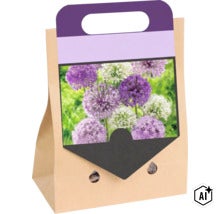 Sac en papier contenant des bulbes d ail ornemental avec des fleurs sphériques violettes et blanches (Image AI modified or generated)