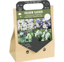 Ensemble de 40 bulbes à fleurs pour jardin ombragé dans un sac en papier pour plantation printanière