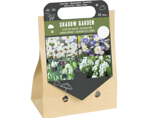 Ensemble de 40 bulbes à fleurs pour jardin ombragé dans un sac en papier pour plantation printanière