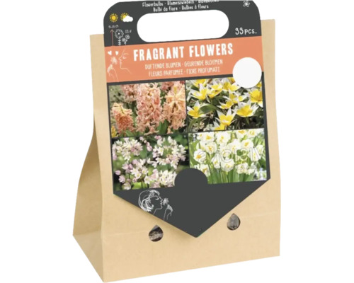 Ensemble de 33 bulbes à fleurs parfumées, mélange de différentes fleurs printanières dans un sac en papier, pour le jardin.