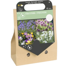 Ensemble de 40 bulbes à fleurs pour naturalisation dans un sac en papier brun avec images de diverses fleurs printanières.