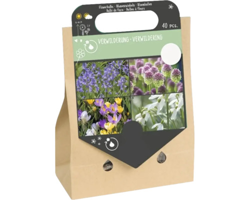 Ensemble de 40 bulbes à fleurs pour naturalisation dans un sac en papier brun avec images de diverses fleurs printanières.