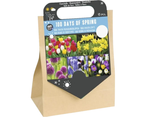 Mélange de bulbes de fleurs 100 Days of Spring 45 pièces dans sac en papier