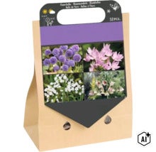 Lot de 50 bulbes de fleurs pour diverses variétés d allium dans un sac en papier avec poignée et informations illustrées sur les variétés. (Image AI modified or generated)