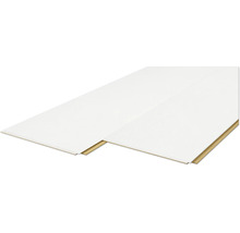 Zwei Paneele für Wand- oder Deckenverkleidung