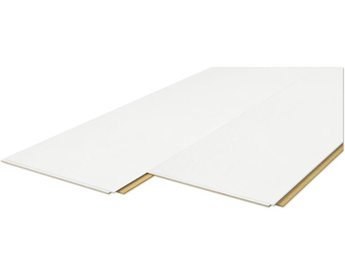 Zwei Paneele für Wand- oder Deckenverkleidung