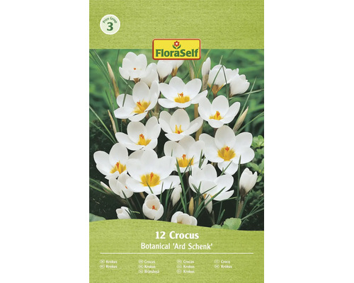 Bulbes de fleurs Crocus Botanique Ard Schenk douze pieces Logo FloraSelf groupe de prix trois
