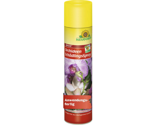 Spray antiparasitaire pour orchidées Neudorff Spruzit, produit phytosanitaire prêt à l'emploi pour lutter contre les nuisibles sur les orchidées.