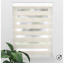 Doppelrollo mit abwechselnd blickdichten und transparenten Streifen vor einem Fenster mit einer Zimmerpflanze im Vordergrund (Image AI modified or generated)