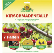 Neudorff Kirschmadenfalle zur Bekämpfung von Kirschfruchtfliegen, 7 Fallen, Insektizidfrei und geeignet für den ökologischen Landbau.