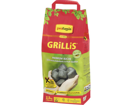 Briquettes de charbon de bois de hêtre proFagus Grillis sac de 2,5 kilogrammes pour une braise longue durée