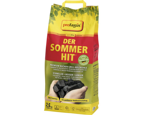 Charbon de bois de hêtre premium proFagus 2,5 kg en sac en papier avec labels TÜV Rheinland et FSC
