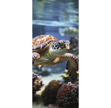 Eine Meeresschildkröte schwimmt an einem Korallenriff im Aquarium.
