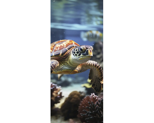 Eine Meeresschildkröte schwimmt an einem Korallenriff im Aquarium.