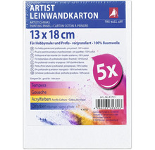 Set de 5 cartons entoilés apprêtés en 100 pour cent coton, dimensions 13 par 18 centimètres, adaptés à diverses techniques de peinture.