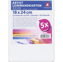 Cinq panneaux entoilés pour artistes 18 par 24 centimètres préapprêtés en coton pour peinture tempera gouache acrylique et huile