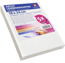 Set de 5 cartons entoilés apprêtés en 100 pour cent coton en 18 par 24 centimètres pour peinture acrylique peinture à l huile gouache et tempéra