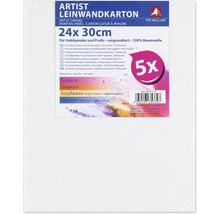 Lot de 5 panneaux en toile de coton pré-apprêtés, format 24 par 30 centimètres, adaptés pour la peinture acrylique, à l huile, tempera et gouache.