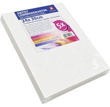 Lot de 5 cartons entoilés pour artistes, 24 par 30 centimètres, en 100 pour cent coton, adapté à la peinture acrylique, huile, gouache et tempera.