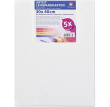 Lot de 5 cartons entoilés apprêtés en 100 pour cent coton, format 30 par 40 centimètres, adaptés à diverses techniques de peinture.