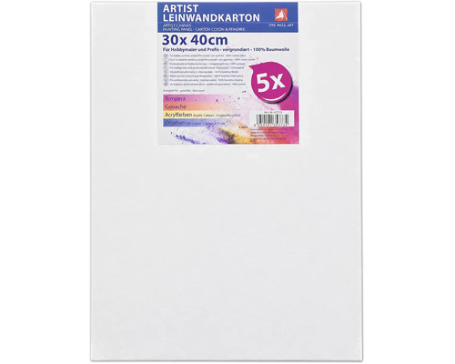Lot de 5 cartons entoilés apprêtés en 100 pour cent coton, format 30 par 40 centimètres, adaptés à diverses techniques de peinture.