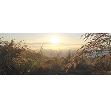 Landschaft mit Gras und Sonnenaufgang