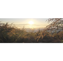 Landschaft mit Gras im Vordergrund, Bergen und Sonnenaufgang im Hintergrund