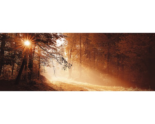 Tableau en verre Autumn Forest II 30x80 cm