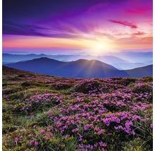 Landschaft mit Bergen, Blumen und Sonnenaufgang