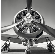 Frontansicht eines Flugzeugs mit Propeller und detailliertem Motor
