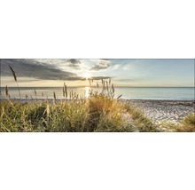Glasbild Wilder Strand 30x80 cm