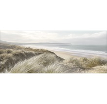 Paysage de dunes avec plage et mer